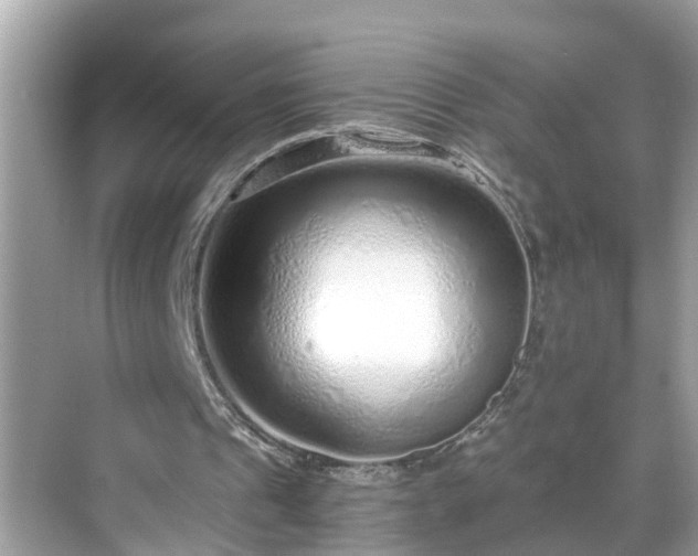 X0000068730241200605051506