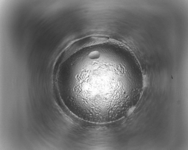 X0000068730243200605051506