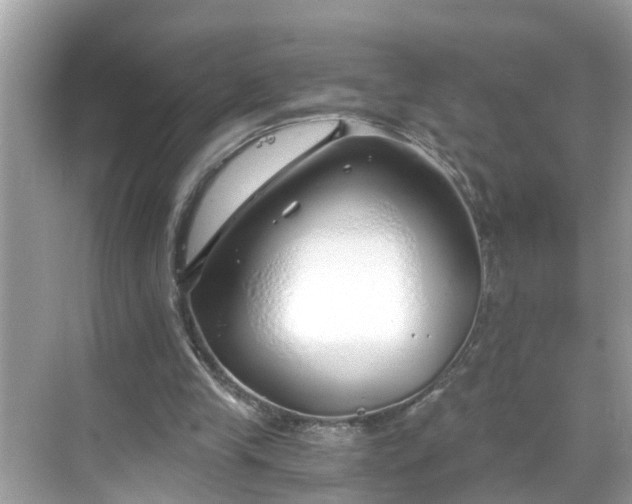 X0000068730245200605051506