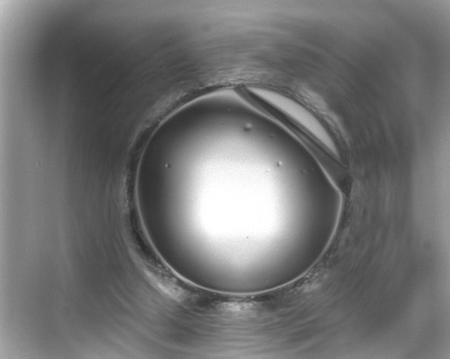 X0000068730250200605051506