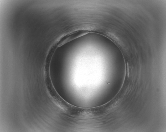 X0000068730252200605051506