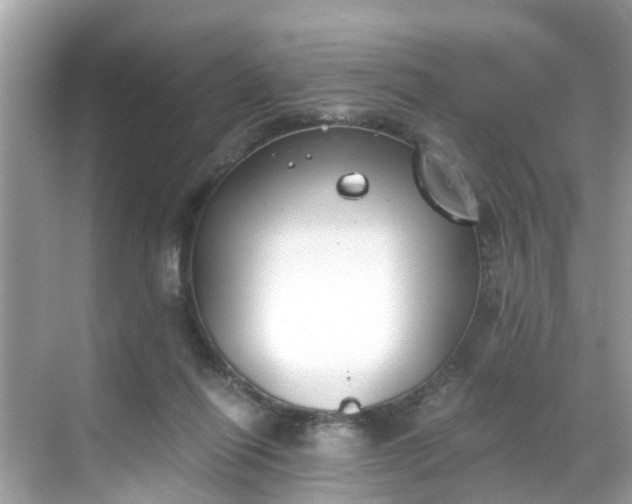 X0000068730262200605051506