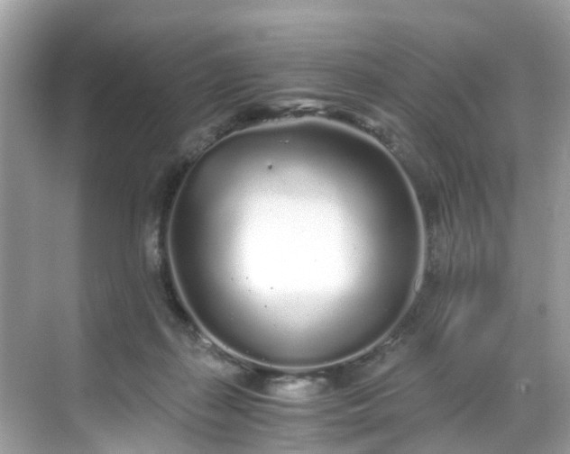 X0000068730267200605051506