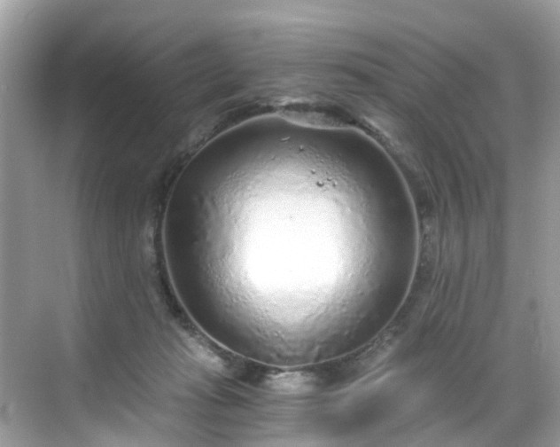 X0000068730269200605051506