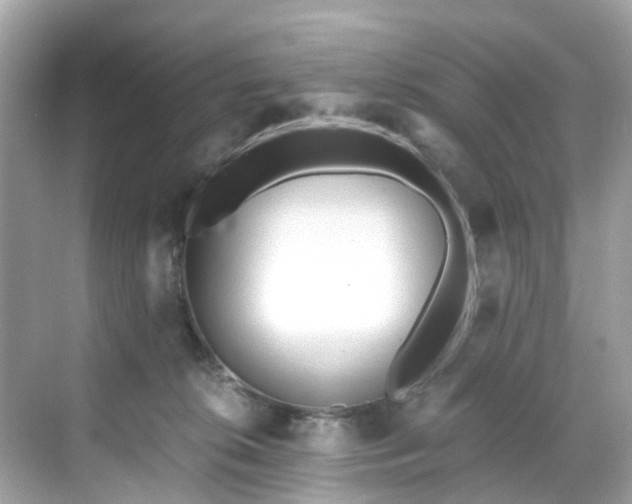 X0000068730276200605051507