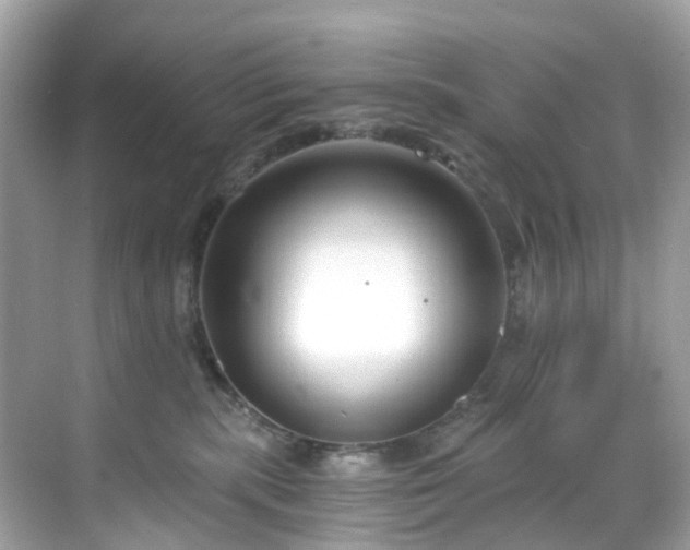 X0000068730283200605051507