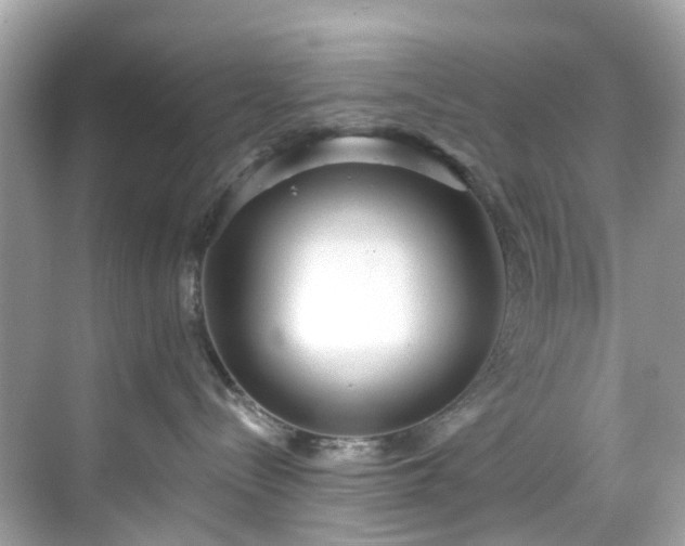 X0000068730288200605051507