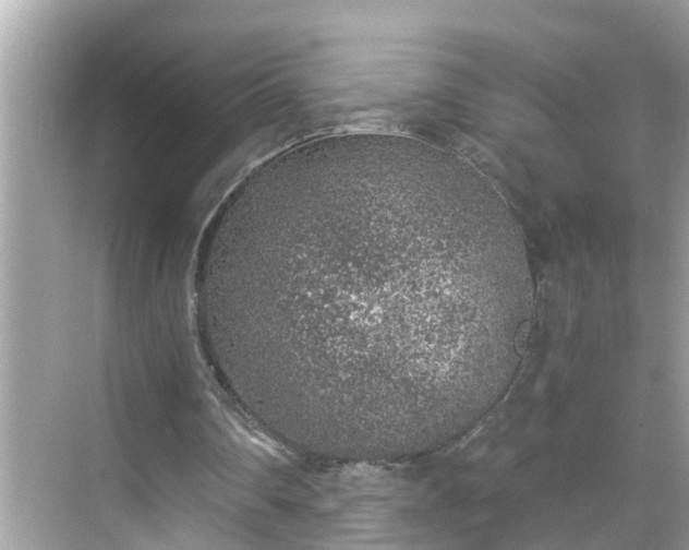 X0000068730290200605051506