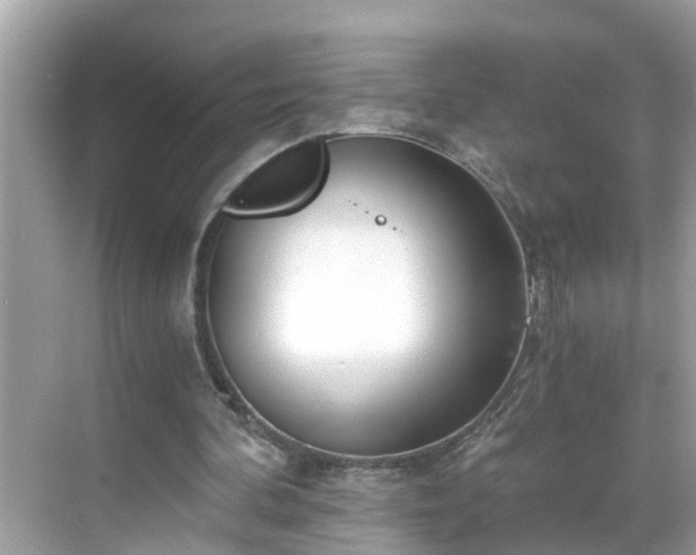 X0000068730292200605051506