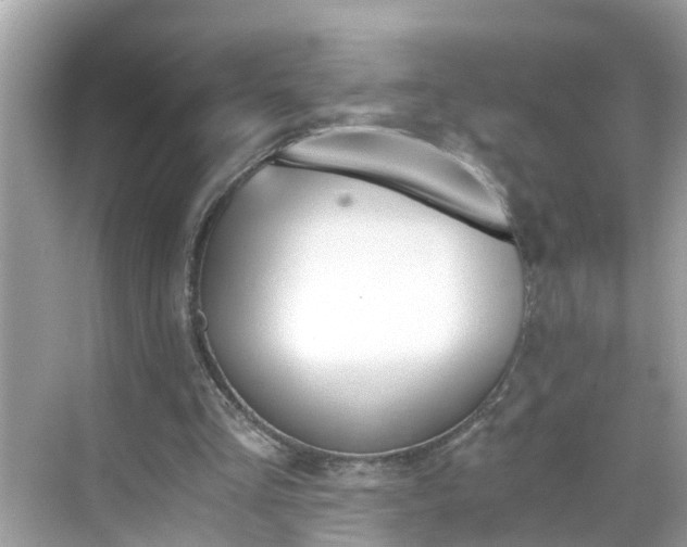 X0000068730293200605051506