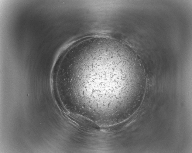 X0000068730294200605051506