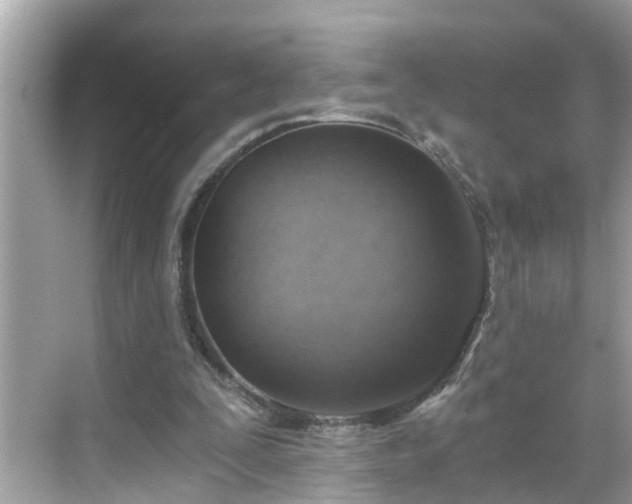 X0000068730295200605051506