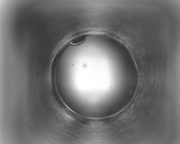 X0000068730296200605051506