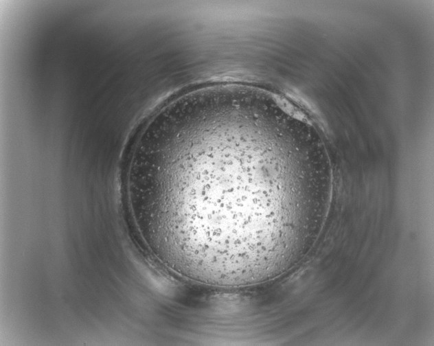 X0000068730298200605051506