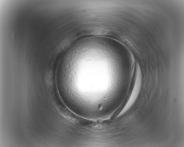 X0000068730303200605051506