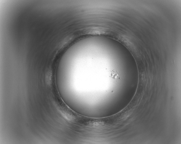 X0000068730304200605051506