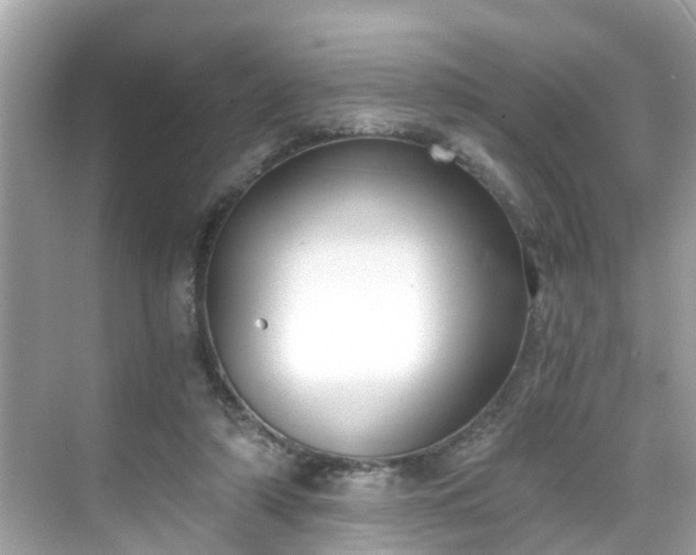 X0000068730306200605051506