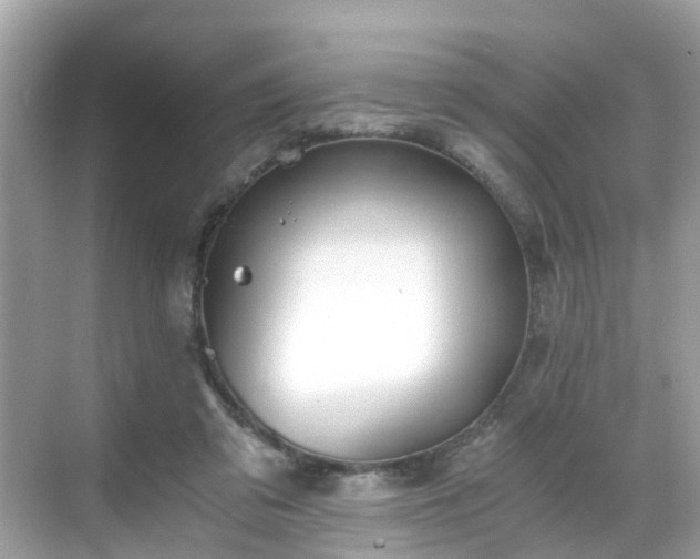 X0000068730309200605051506