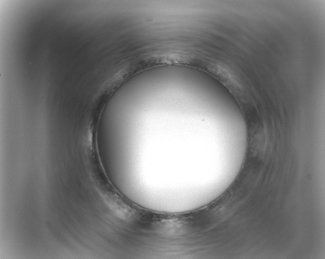 X0000068730310200605051506