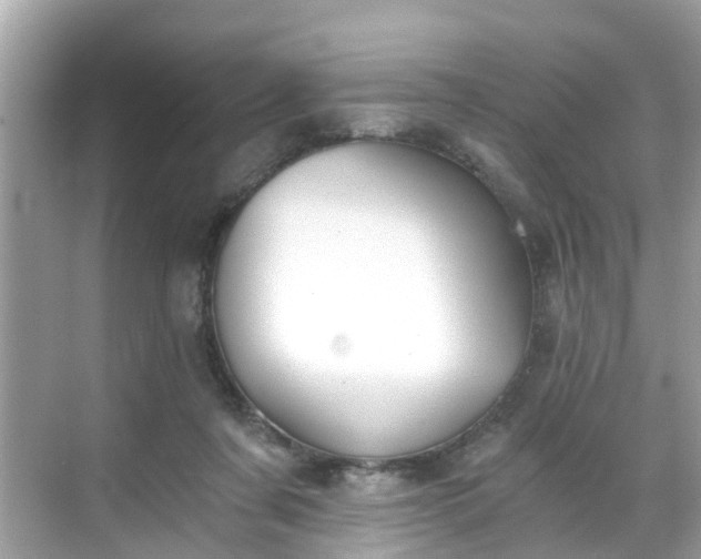 X0000068730311200605051506