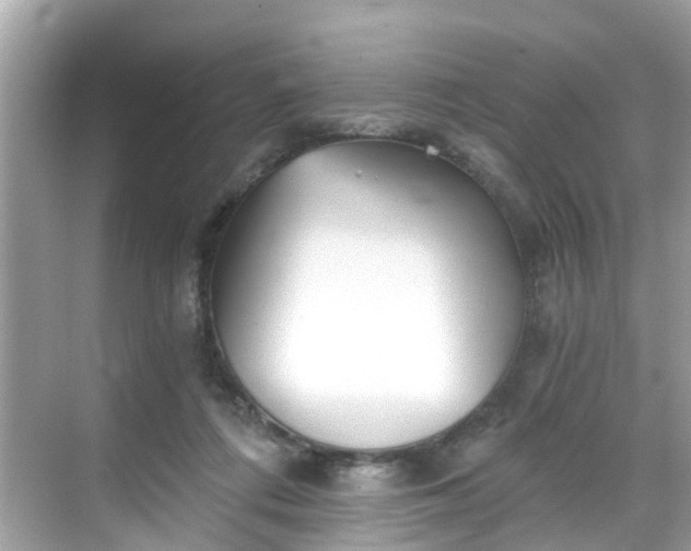 X0000068730312200605051506