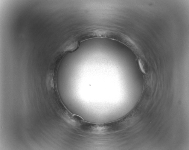 X0000068730313200605051506