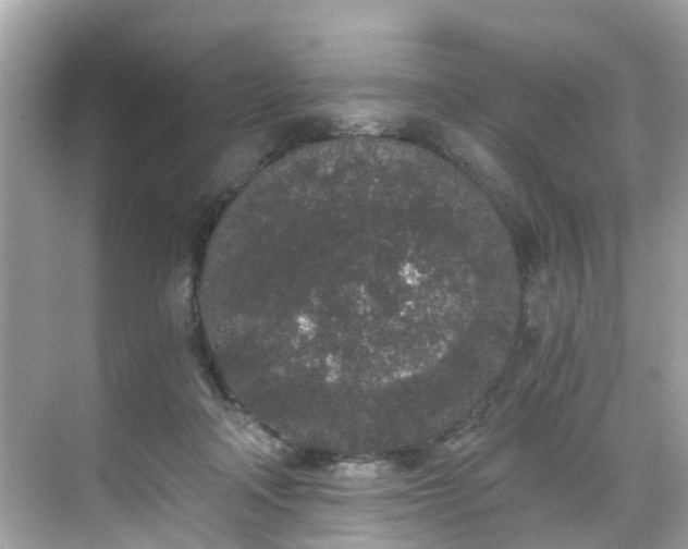 X0000068730314200605051505