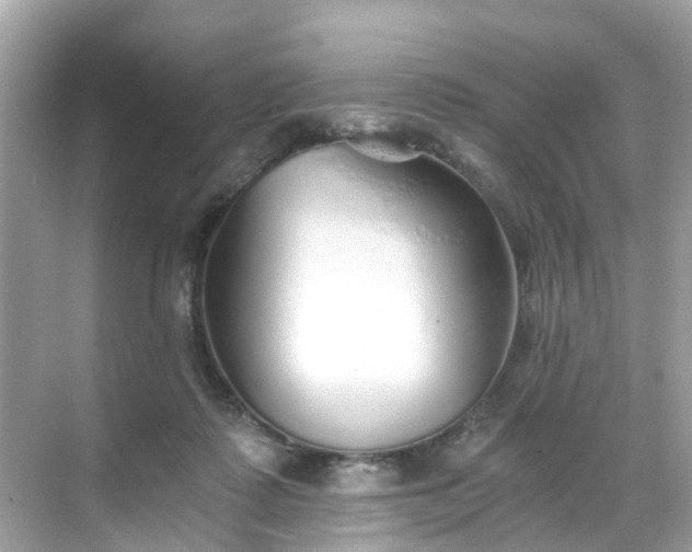 X0000068730315200605051505