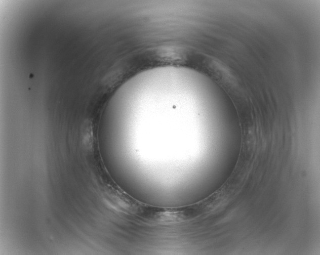 X0000068730320200605051505