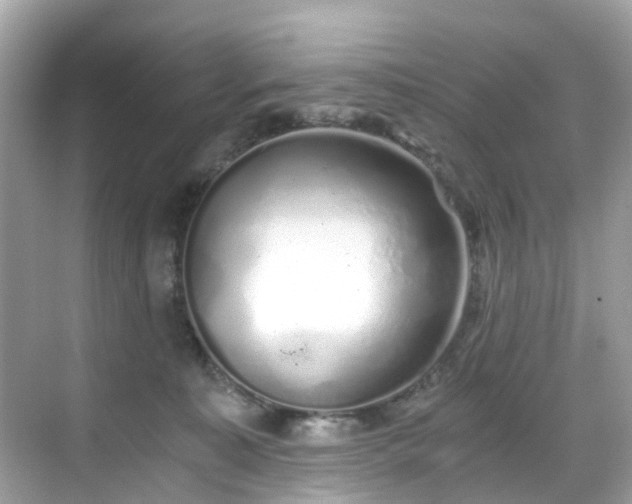 X0000068730323200605051505