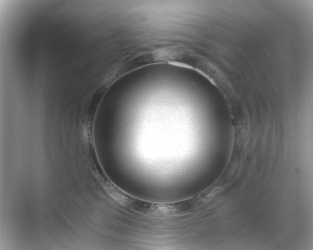 X0000068730329200605051505