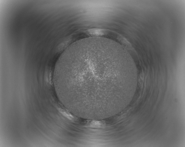 X0000068730330200605051505