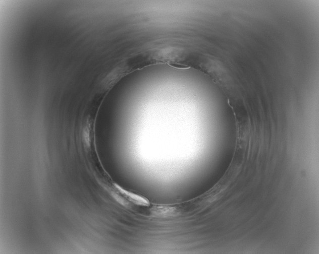 X0000068730334200605051505