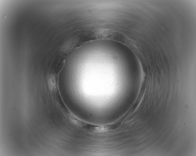 X0000068730335200605051505