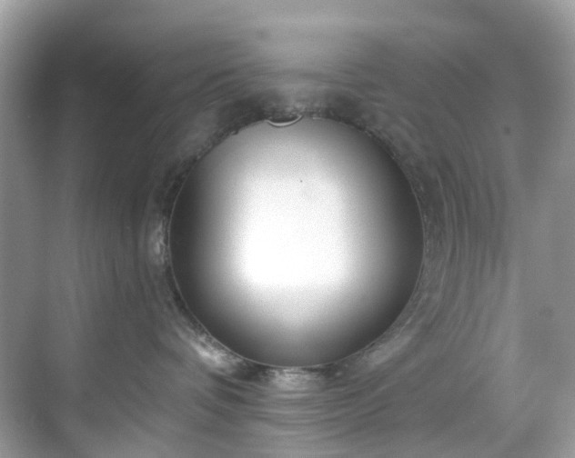 X0000068730336200605051505