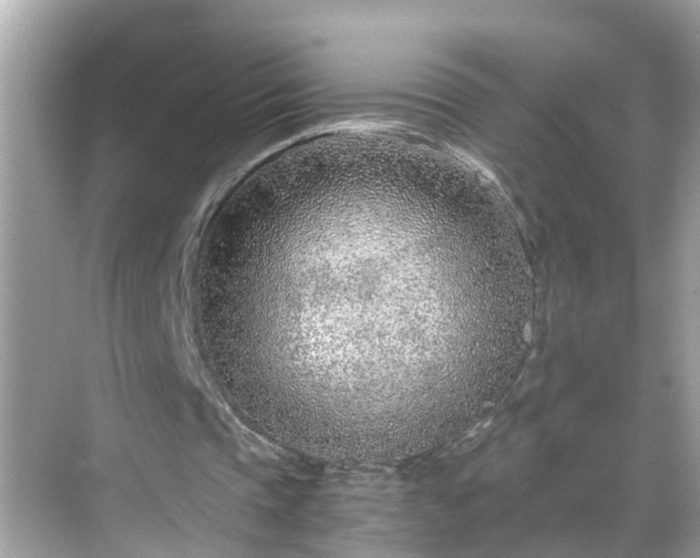 X0000068730337200605051504