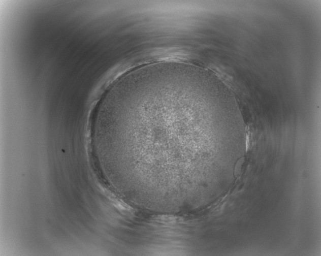 X0000068730339200605051504