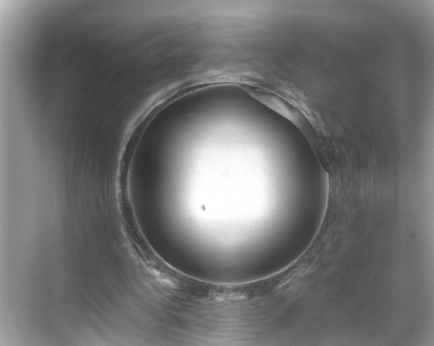 X0000068730340200605051504