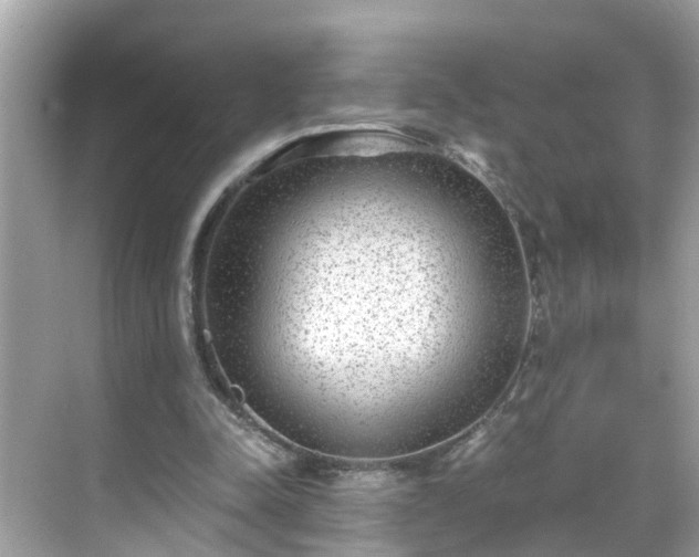 X0000068730342200605051504