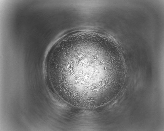 X0000068730343200605051504