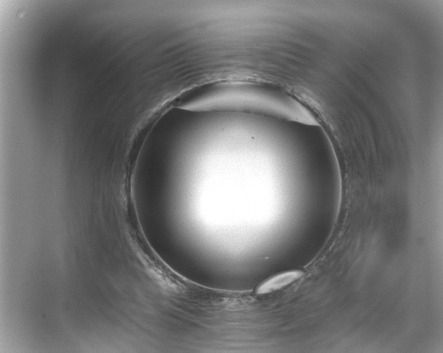 X0000068730345200605051504