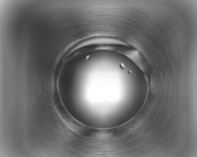 X0000068730348200605051505