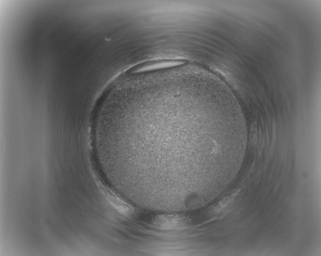 X0000068730351200605051505