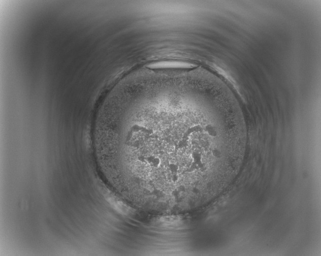 X0000068730353200605051505