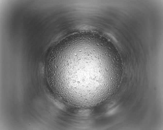 X0000068730357200605051505