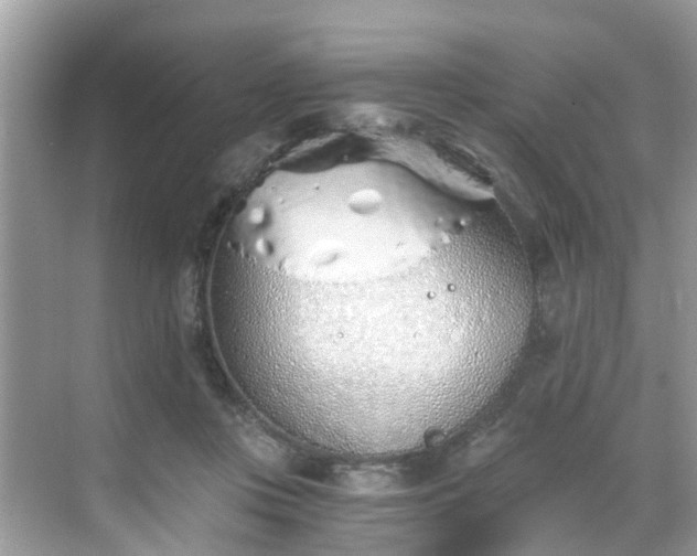 X0000068730359200605051505