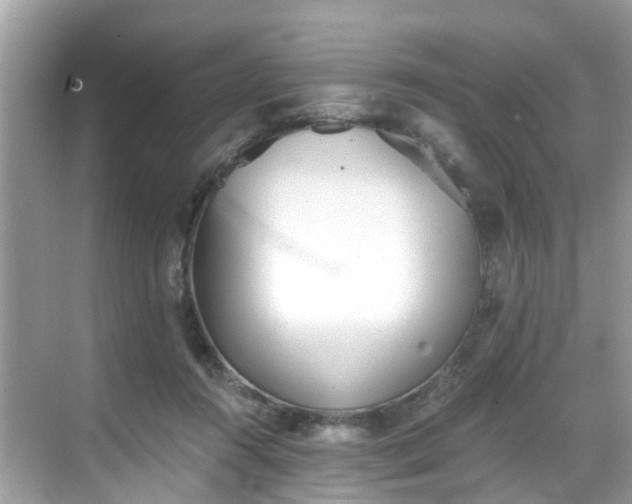 X0000068730360200605051505