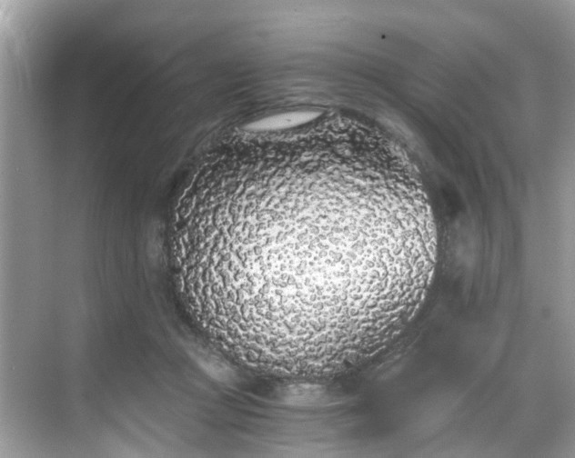 X0000068730361200605051505