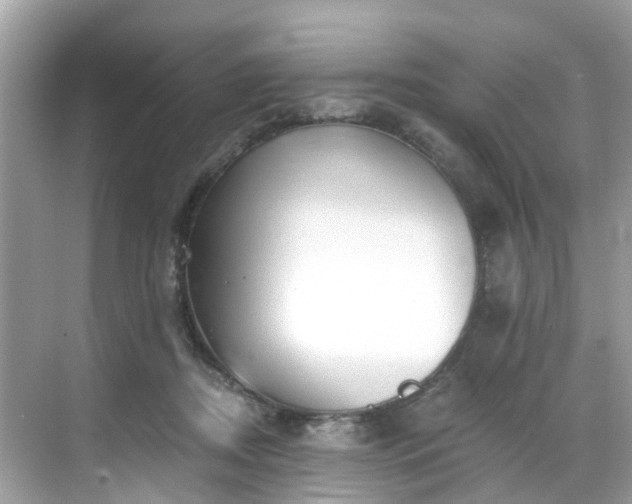 X0000068730362200605051505