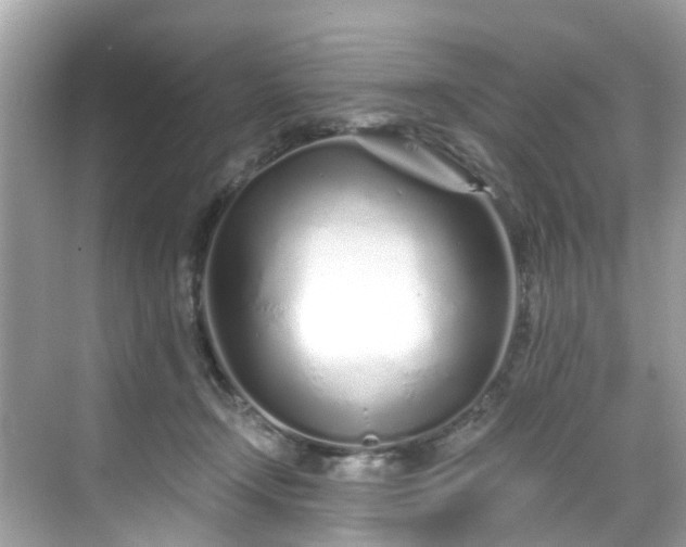 X0000068730366200605051505